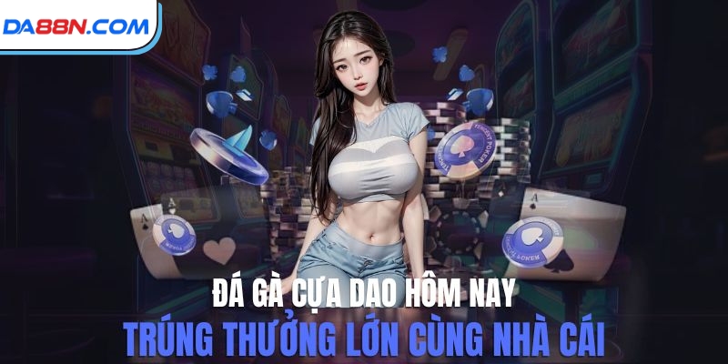 Đá Gà Cựa Dao Hôm Nay - Sân Chơi Đẳng Cấp Nhiều Chiến Kê Giỏi