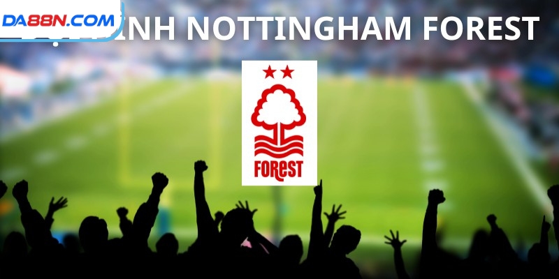 Đội hình Nottingham Forest 2024/25: Phân Tích Mùa Giải Mới
